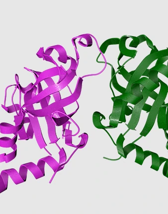 Hormones,inhibitors,Polypeptide,Hydrocarbons